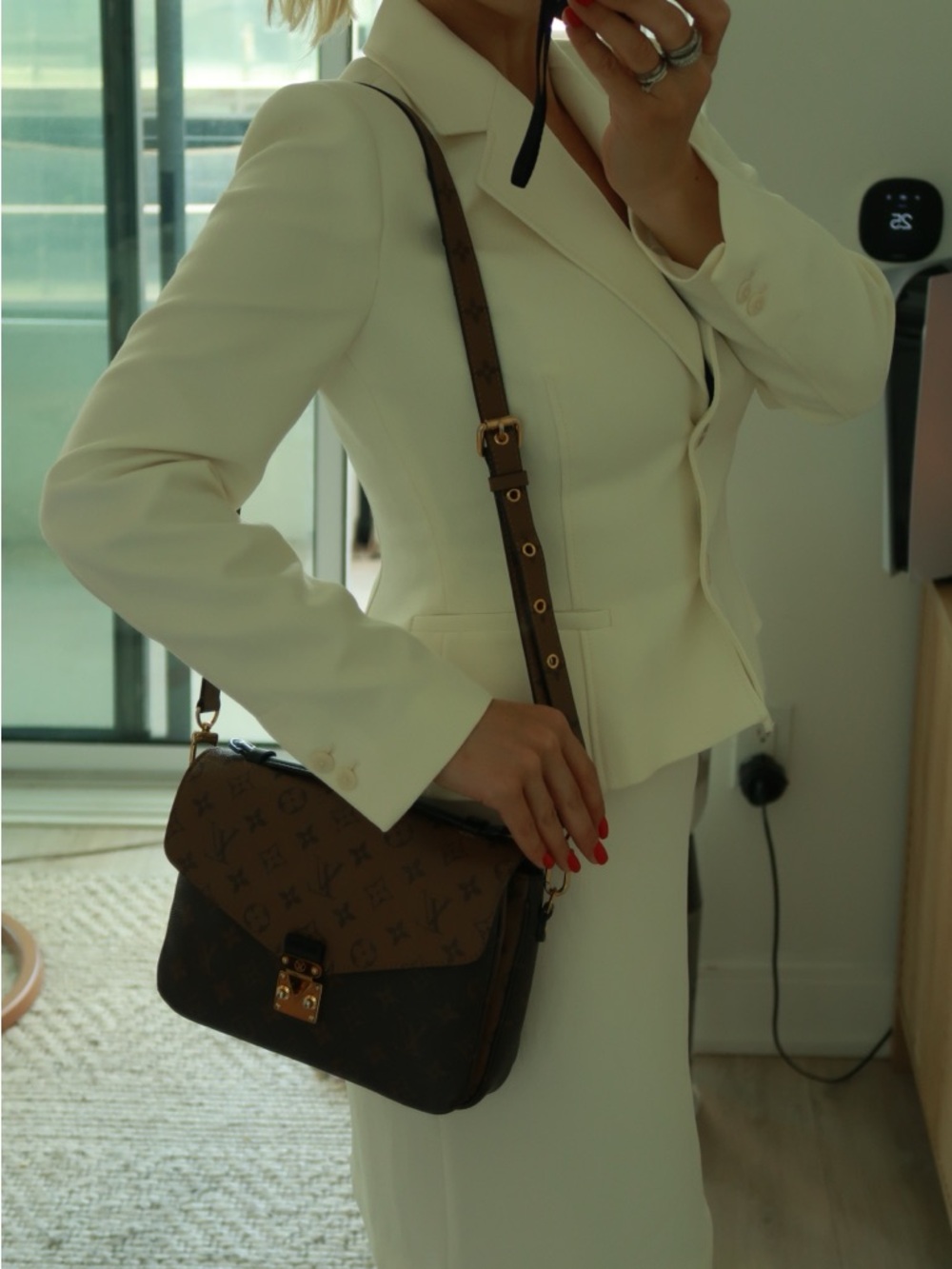 Louis Vuitton Two-Tone Monogram Top Handle Bag in Brown